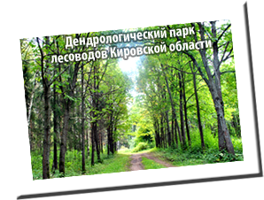 Дендрологический парк лесоводов Кировской области